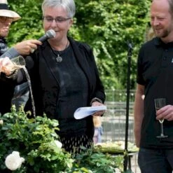 'Friheden'™ Rosa X 'Friheden'™ (Buketrose) A-Kvalitet,- Barrods Roser Min. 3 Grene 17 'Friheden'™ Rosa X 'Friheden'™ (Buketrose) A-Kvalitet,- Barrods Roser Min. 3 Grene -Planter Salgsbutik p19464 51279 rosa x friheden buketrose a0a1