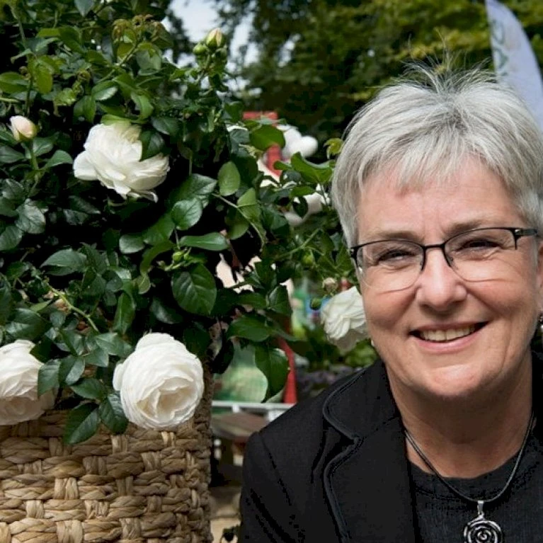 'Friheden'™ Rosa X 'Friheden'™ (Buketrose) A-Kvalitet,- Barrods Roser Min. 3 Grene 10 'Friheden'™ Rosa X 'Friheden'™ (Buketrose) A-Kvalitet,- Barrods Roser Min. 3 Grene - Image 8