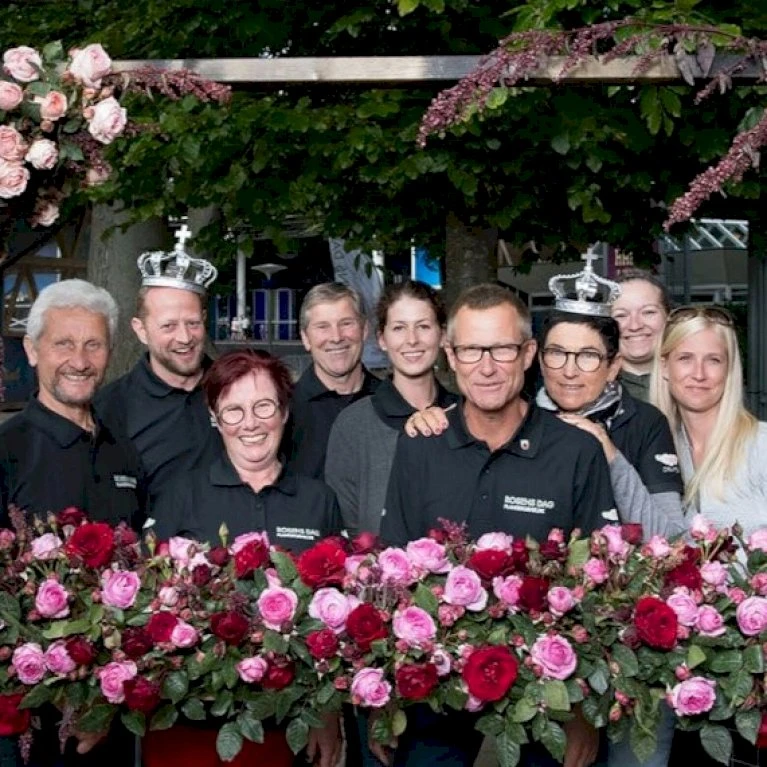 'Friheden'™ Rosa X 'Friheden'™ (Buketrose) A-Kvalitet,- Barrods Roser Min. 3 Grene 11 'Friheden'™ Rosa X 'Friheden'™ (Buketrose) A-Kvalitet,- Barrods Roser Min. 3 Grene - Image 9