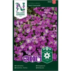 Blåpude 'Red Cascade' Aubrietia X Cultorum 'Red Cascade' Pose Med Frø Eller Løg, 20