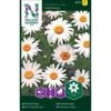 Okseøje 'Maikönigin' Leucanthemum Vulgare 'Maikönigin' Pose Med Frø Eller Løg, 20 1 Okseøje 'Maikönigin' Leucanthemum Vulgare 'Maikönigin' Pose Med Frø Eller Løg, 20 -Planter Salgsbutik p20577 34833 leucanthemum vulgare maikoenigin c7dc