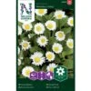Tusindfryd 'Meadow Daisy' Bellis Perennis L. 'Meadow Daisy' Pose Med Frø Eller Løg, 20 1 Tusindfryd 'Meadow Daisy' Bellis Perennis L. 'Meadow Daisy' Pose Med Frø Eller Løg, 20 -Planter Salgsbutik p20651 34842 bellis perennis l meadow daisy a348