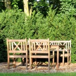 Taks 'Hillii' Taxus Media 'Hillii' Med Klump,- 40-50 Cm.