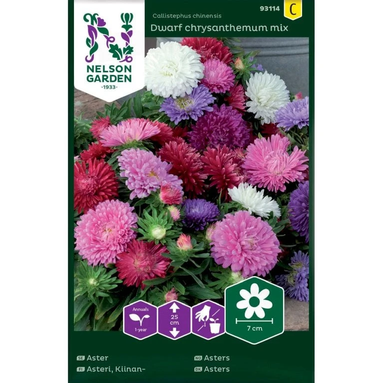 Sommerasters 'Dwarf Crysanthemum' Mix Callistephus Chinensis 'Dwarf Chrysanthemum' Mix 3 Sommerasters 'Dwarf Crysanthemum' Mix Callistephus Chinensis 'Dwarf Chrysanthemum' Mix