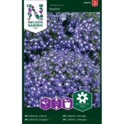 Hængelobelie 'Saphir' Lobelia Erinus 'Saphir'