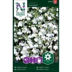 Kantlobelie 'Snowball' Lobelia Erinus 'Snowball'