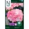 Pelargonie 'Inspire Pink' F1 Pelargonium X Hortorum 'Inspire Pink' F1 1 Pelargonie 'Inspire Pink' F1 Pelargonium X Hortorum 'Inspire Pink' F1 -Planter Salgsbutik p33940 37284 pelargonium x hortorum inspire pink f1 ff64