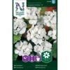 Pelargonie 'Inspire White' F1 Pelargonium X Hortorum 'Inspire White' F1 2 Pelargonie 'Inspire White' F1 Pelargonium X Hortorum 'Inspire White' F1 -Planter Salgsbutik p33942 37285 pelargonium x hortorum inspire white f1 5cef