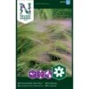 Egernhalebyg Hordeum Jubatum L. -Planter Salgsbutik p33958 37297 hordeum jubatum l 02e5