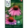 Purpursolhat 'Starlight' Echinacea Purpurea 'Starlight' 2 Purpursolhat 'Starlight' Echinacea Purpurea 'Starlight' -Planter Salgsbutik p33991 37328 echinacea purpurea starlight ad73