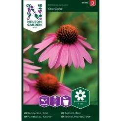 Purpursolhat 'Starlight' Echinacea Purpurea 'Starlight'