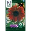 Solsikke 'Ruby' F1 Helianthus Annuus 'Ruby' F1 2 Solsikke 'Ruby' F1 Helianthus Annuus 'Ruby' F1 -Planter Salgsbutik p34010 37342 helianthus annuus ruby f1 66fb