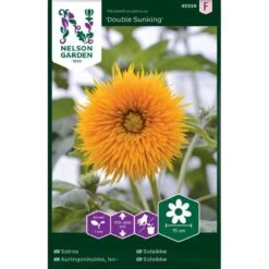 Solsikke 'Double Sunking' Helianthus Annuus 'Double Sunking'