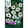 Susanne Med Det Sorte øje 'Alba Oculata' Thunbergia Alata 'Alba Oculata' 2 Susanne Med Det Sorte øje 'Alba Oculata' Thunbergia Alata 'Alba Oculata' -Planter Salgsbutik p34026 37356 thunbergia alata alba oculata 3b0b
