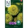 Frøkenhat 'Envy' Zinnia Elegans 'Envy' 1 Frøkenhat 'Envy' Zinnia Elegans 'Envy' -Planter Salgsbutik p34062 37383 zinnia elegans envy 4a47