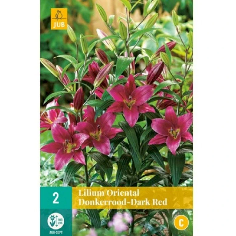 Orientalsk Lilje 'Dark Red' Lilium Oriental 'Dark Red' Blomsterløg, Antal Pr. Pakke, Ca. 2 Stk. 3 Orientalsk Lilje 'Dark Red' Lilium Oriental 'Dark Red' Blomsterløg, Antal Pr. Pakke, Ca. 2 Stk.