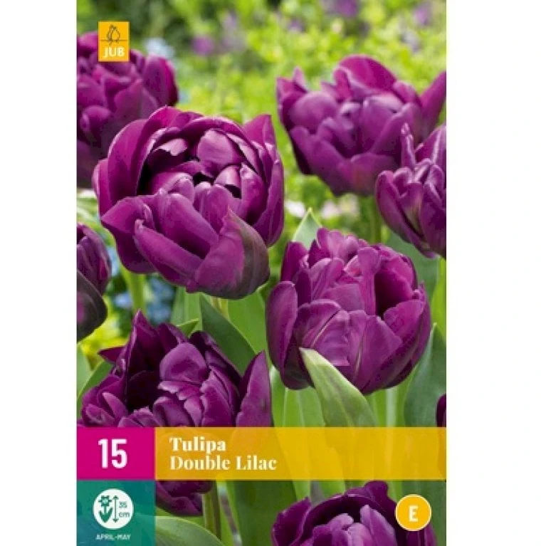 Tulipan 'Double Lilac' XXL Tulips 'Double Lilac' Blomsterløg, Antal Pr. Pakke, Ca. 15 Stk. 4 Tulipan 'Double Lilac' XXL Tulips 'Double Lilac' Blomsterløg, Antal Pr. Pakke, Ca. 15 Stk. - Image 2
