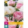 Tulipan 'Double Sensation' Mix XXL Tulips 'Double Sensation' Mix Blomsterløg, Antal Pr. Pakke, Ca. 15 Stk. 2 Tulipan 'Double Sensation' Mix XXL Tulips 'Double Sensation' Mix Blomsterløg, Antal Pr. Pakke, Ca. 15 Stk. -Planter Salgsbutik p36215 50107 tulips double sensation mix f316