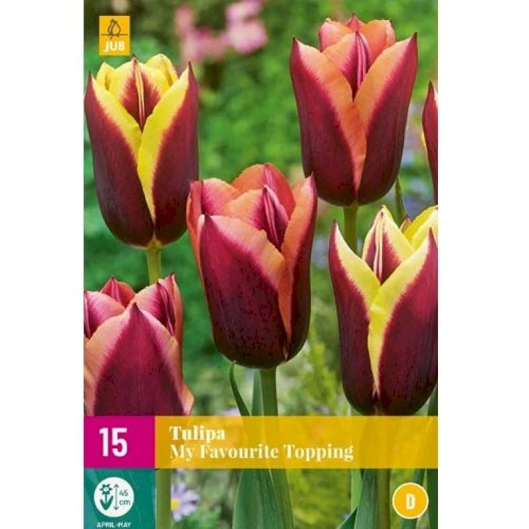 Tulipan 'My Favourite Topping' Mix XXL Tulips 'My Favourite Topping' Mix Blomsterløg, Antal Pr. Pakke, Ca. 15 Stk. 3 Tulipan 'My Favourite Topping' Mix XXL Tulips 'My Favourite Topping' Mix Blomsterløg, Antal Pr. Pakke, Ca. 15 Stk.