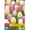 Tulipan 'Sorbet' Mix XXL Tulips 'Sorbet' Mix Blomsterløg, Antal Pr. Pakke, Ca. 15 Stk. 2 Tulipan 'Sorbet' Mix XXL Tulips 'Sorbet' Mix Blomsterløg, Antal Pr. Pakke, Ca. 15 Stk. -Planter Salgsbutik p36231 50403 tulips sorbet mix 56a4