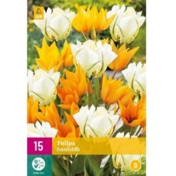 Tulipan 'Sunbath' Mix XXL Tulips 'Sunbath' Mix Blomsterløg, Antal Pr. Pakke, Ca. 15 Stk.